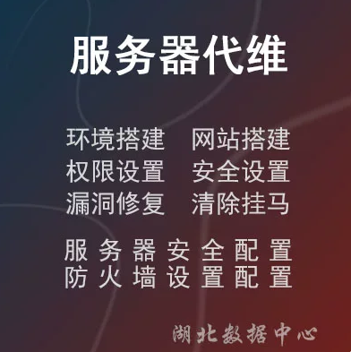 云服务器安全代维/网站权限设置/安全检查设置/清理木马/负载均衡-龙岩市新罗区犀群莎信息咨询工作室